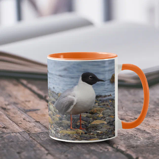 Bonaparte's Gull at the Beach Mug