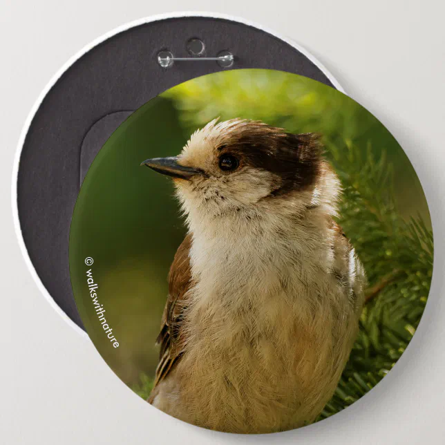 Profile of a Cute Grey Jay / Whiskeyjack Button