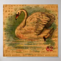 Swan Poster