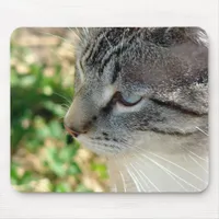 Blue Eyes Kitty Mouse Pad