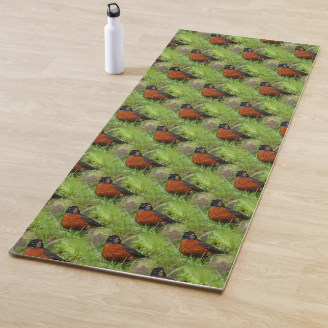 A Curious American Robin Yoga Mat