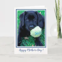 Happy Mother's Day Puppy Black Labrador - Cute Dog Card