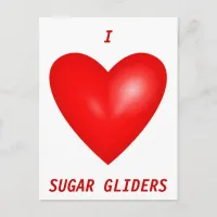 I Love Sugar Gliders Postcard