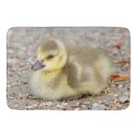 Adorable Baby Canada Goose on the Gravel Bathroom Mat