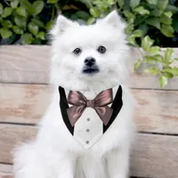 Black Tuxedo Suit Rose Gold Bow Tie Pet Bandana Collar