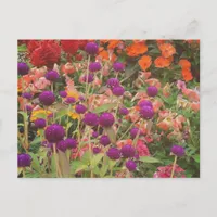 Grocery Store Flowers Postcard