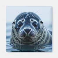 Cute Seal Close up Magnet