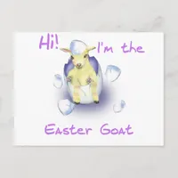 Baby Easter Goat Holiday Postcard