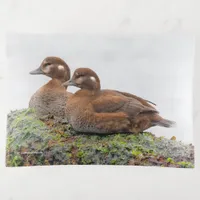 A Pair of Harlequin Ducks on the Rocks Trinket Tray