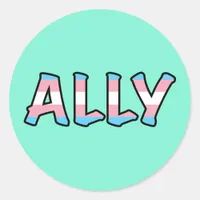 Trans Ally | Mint Background |  Classic Round Sticker