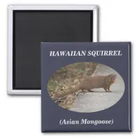 Hawaiian Squirrel (Asian Mongoose) Square Magnet