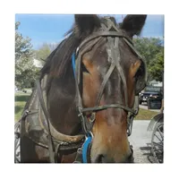At the Library, Amish Horse and Buggy Tile