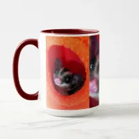 Sugar Glider in Orange Hanging Bed Mug