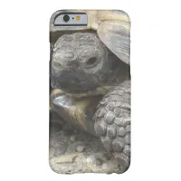 Turtle Close Up Cell Phone Case