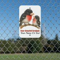 Stunning Rose Breasted Grosbeak Metal Sign