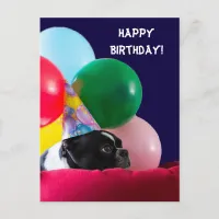 Happy Birthday Dog Humor with Balloons Postcard