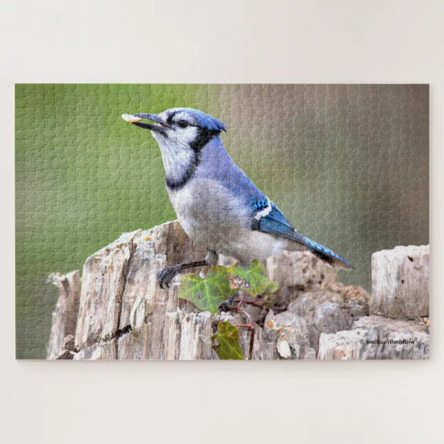 Cute Blue Jay Songbird on Treestump Jigsaw Puzzle