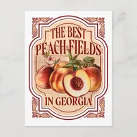 Vintage Georgia Peach Fields Postcard