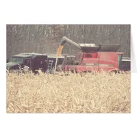 Vintage Harvest