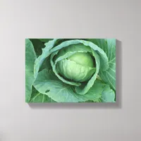 Cabbage Canvas Print