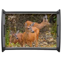 Stunning Trio of Blacktail Deer in the Forest Serving Tray