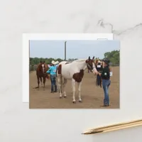 County Fair Showmanship Paints and Quarter Horses Postcard