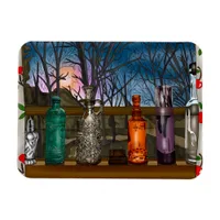 Reflection | Colorful Glass Vases in Window Sill   Magnet