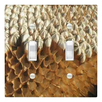 Light Switch Cover - Dried Sunflower Head