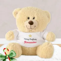 Personalized Festive Star Merry Christmas Cute Teddy Bear