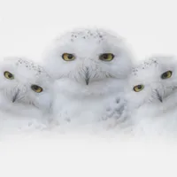 WWN Family of Smiling Snowy Owls