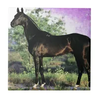Akhal-teke stallion tile