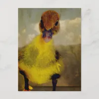 Muscovy Dreamin' Postcard