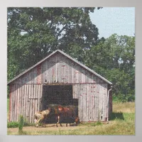 Horse Pasture Horse and Mini Horse Poster