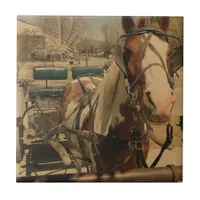 Amish Horse, A Pinto Tile