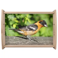 Closeup of a Handsome Black-Headed Grosbeak Serving Tray