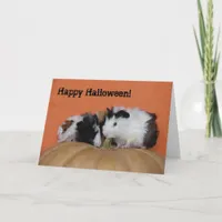 Baby Guinea Pigs, Happy Halloween! Card