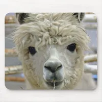 Adorable Alpaca Mouse Pad