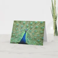 Card - greeting - Peacock Tail Feathers