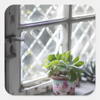 Watercolor Pretty Plant in the Window Square Sticker