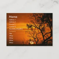 Orange Sunset Profile Card