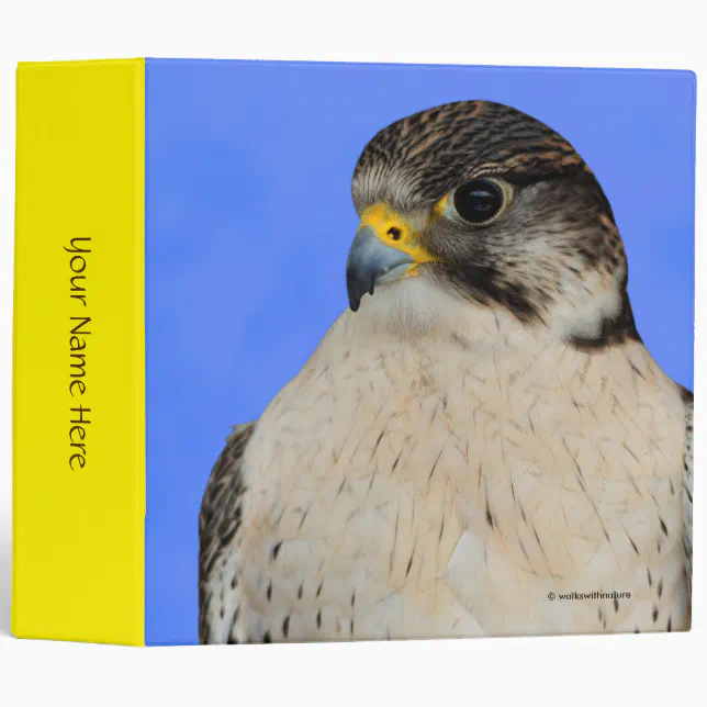 Gyrfalcon Saker Hybrid Falcon 3 Ring Binder