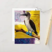 Blue Footed Bird Collage Postcard
