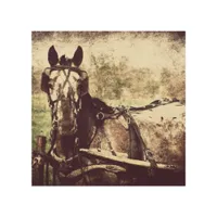 Appaloosa Harness Horse Wood Wall Decor