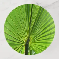 Trinket Tray - Green Palm Frond