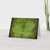 Hen and Chicks Plant With Texture Card