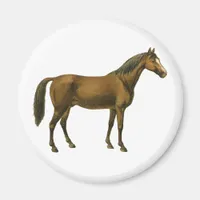 Vintage Horse Magnet