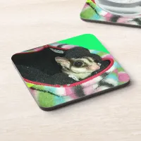 Sugar Glider Wearing a Hat Beverage Coaster