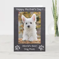 Happy Mothers Day - World's Best Dog Mom - Photo Card
