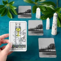 White Noise Santa Monica Pier Tarot