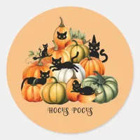 Witch Cat Jack O Lantern Halloween Magic Gifts Classic Round Sticker